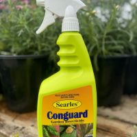 A bright green bottle of Searles 'Conguard Ready to Use' Spray 1L garden insecticide with pyrethrum and a spray nozzle, displayed in front of foliage.