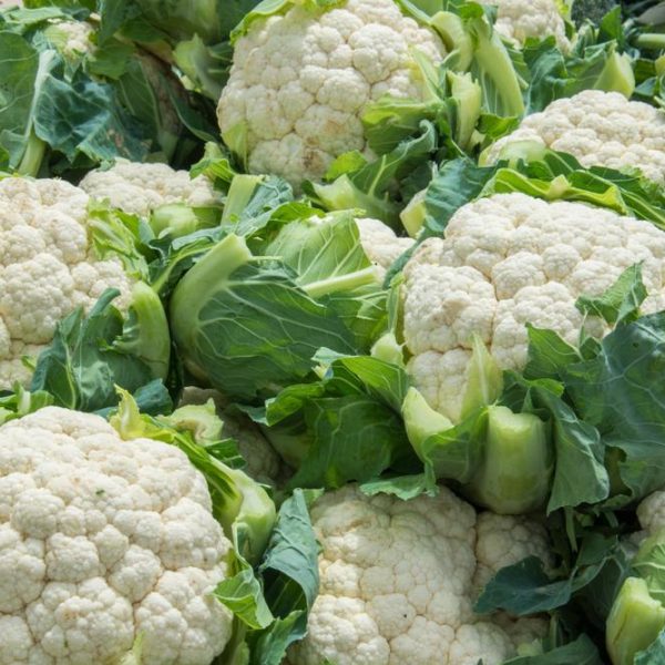 A pile of fresh cauliflower heads with green leaves.
