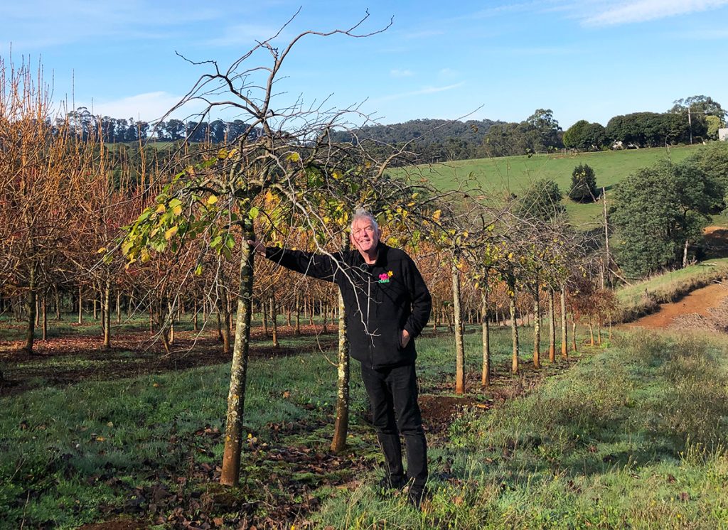 A man stands in a tree grove, resting his right hand on a small tree. He is dressed in black and smiling at the camera. A grassy field dotted with advanced field dug trees for sale is visible in the background.