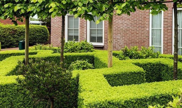 A well-manicured garden with neatly trimmed hedges, small trees, and a brick building in the background.