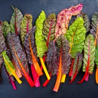 A variety of fresh, multicolored Swiss chard leaves arranged on a dark surface.