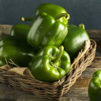 A wicker basket filled with Capsicum 'Big Bertha Green' bell peppers in their 4" pots, a true bounty of fresh produce, sits on a wooden surface, with a few bell peppers scattered around it.