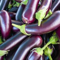A close-up view of a pile of fresh, purple Eggplant 'Bonica' 4" Pot (Copy) with green stems.