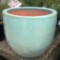 A Glazed Cylinder Moss Green S 20x20cm pot sits on a stone surface, with blurred green foliage in the background.
