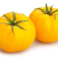 Two yellow heirloom tomatoes from the Tomato 'Truss' 4" Pot (Copy), with green stems, set against a white background.