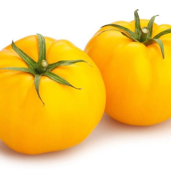 Two yellow heirloom tomatoes from the Tomato 'Truss' 4" Pot (Copy), with green stems, set against a white background.