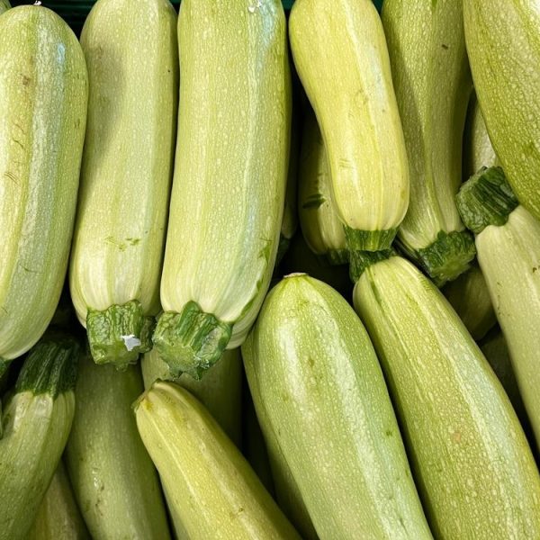 A closely stacked pile of fresh, light green zucchinis from the 'Black Jack' variety with their stems attached.