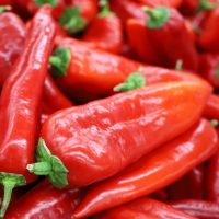 A close-up image of the vibrant Capsicum 'Mr Big' Chilli Peppers in 4" pots, with their red flesh and green stems densely piled together.