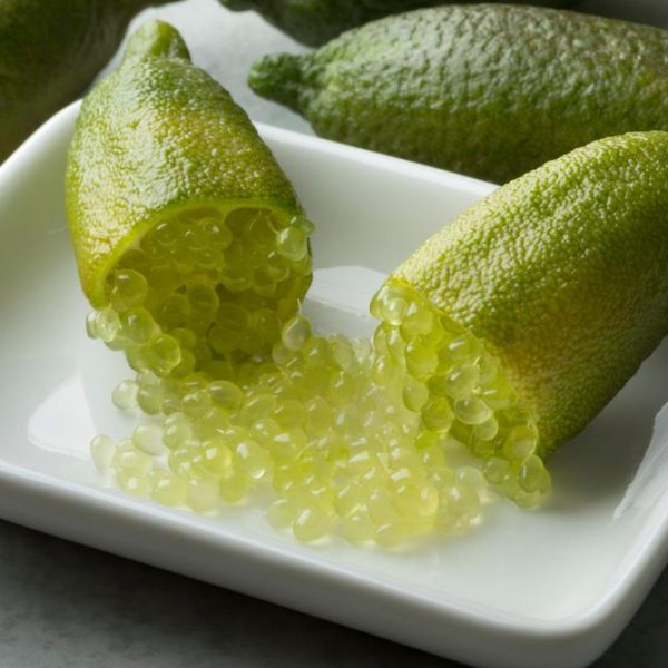 A Citrus 'Crystal' Finger Lime (Copy) cut open on a white dish reveals caviar-like citrus pulp spilling out, with more of these finger limes in the background.