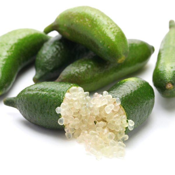 The Citrus 'Judy's Everbearing' Finger Lime, cut open to display its small, round, translucent pearls, highlights the exquisite beauty of this unique citrus fruit against a white background.