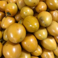 A vibrant pile of ripe Solanum 'Tamarillo' Red (Copy) catches the eye, stacked closely together with a hint of orange-yellow peeking through.