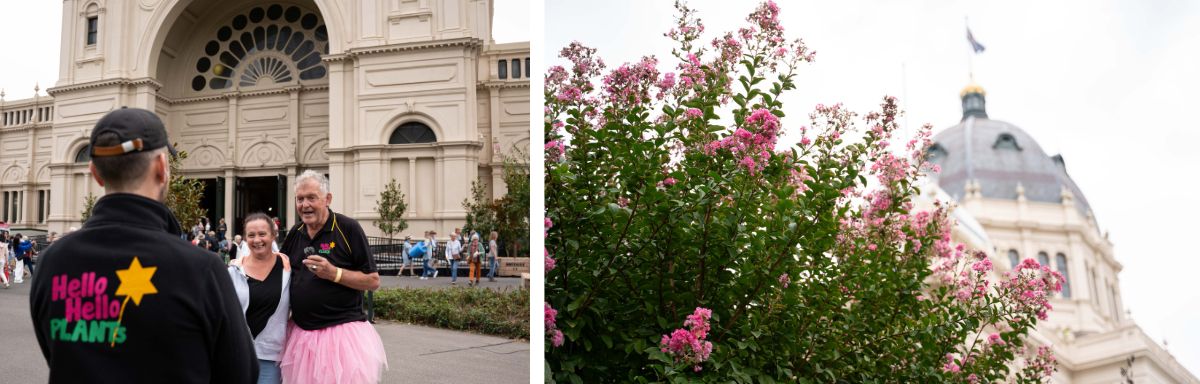 People stand near an ornate building, one wearing a tutu, surrounded by the many benefits of gardening as pink flowers bloom in the foreground.
