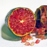 A halved Citrus Finger Lime 'Byron Sunrise' reveals its vibrant, pink caviar-like pulp spilling onto a white surface.
