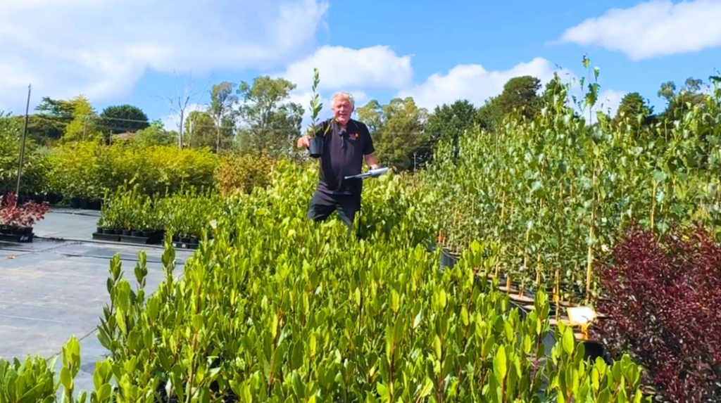 A person stands among rows of potted plants at an outdoor nursery, holding a small plant and a tray, with trees and blue sky in the background—an inviting scene where the nursery is now hiring.