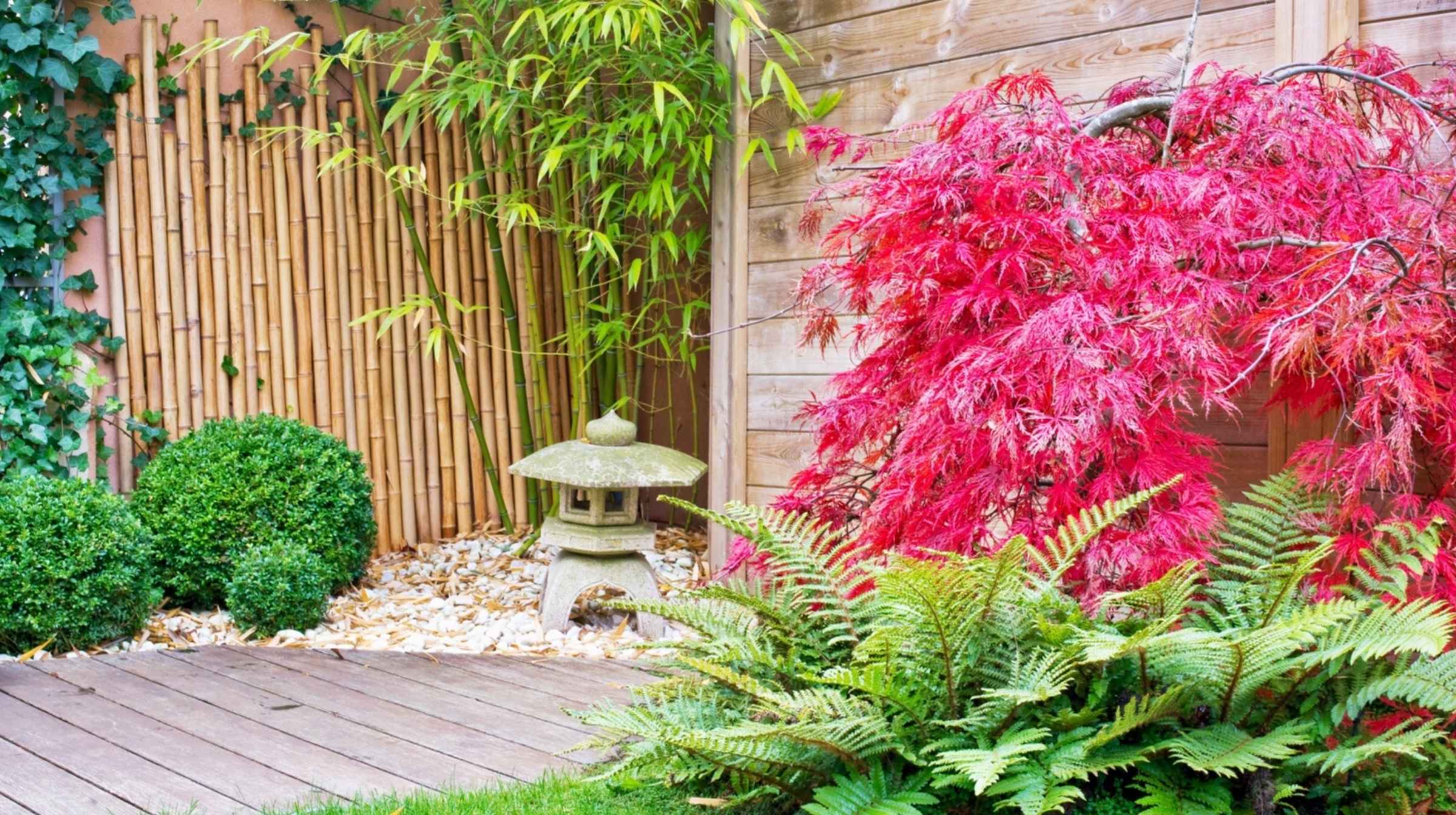 A small Japanese-style garden showcasing the beauty of Japanese gardens, with bamboo, a stone lantern, ferns, a red Japanese maple, and a wooden fence.