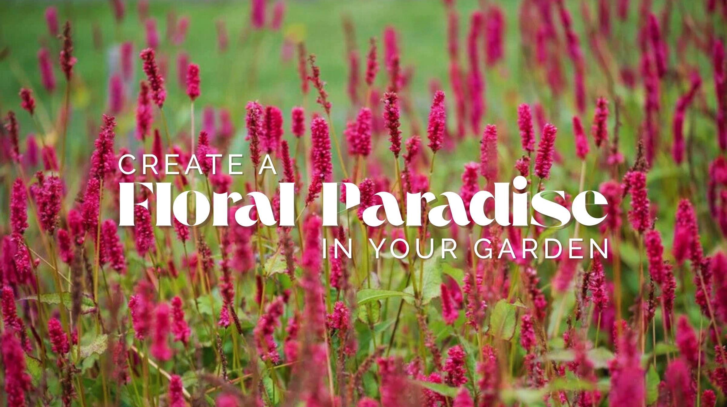 A field of tall pink autumn flowering plants with green stems, overlaid with the text: "Create a Floral Paradise in Your Garden.