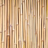 A close-up of vertically arranged Garden Stake Bamboo, each 8-10mm thick and 75cm long, creating a natural wall or garden stake fence.