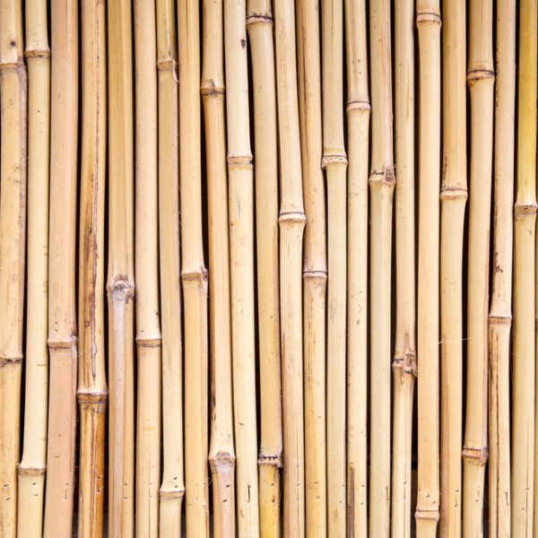 A close-up of vertically arranged Garden Stake Bamboo, each 8-10mm thick and 75cm long, creating a natural wall or garden stake fence.