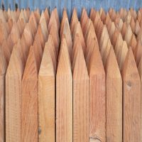 A close-up of Garden Stake Timber (25mmx25mmx1500mm) with pointed tops, stacked vertically before a corrugated metal wall—ideal for garden use.