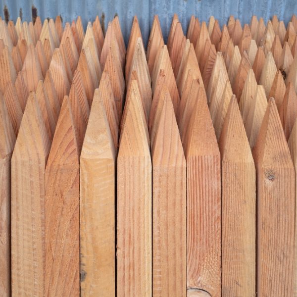 A close-up of Garden Stake Timber (25mmx25mmx1500mm) with pointed tops, stacked vertically before a corrugated metal wall—ideal for garden use.