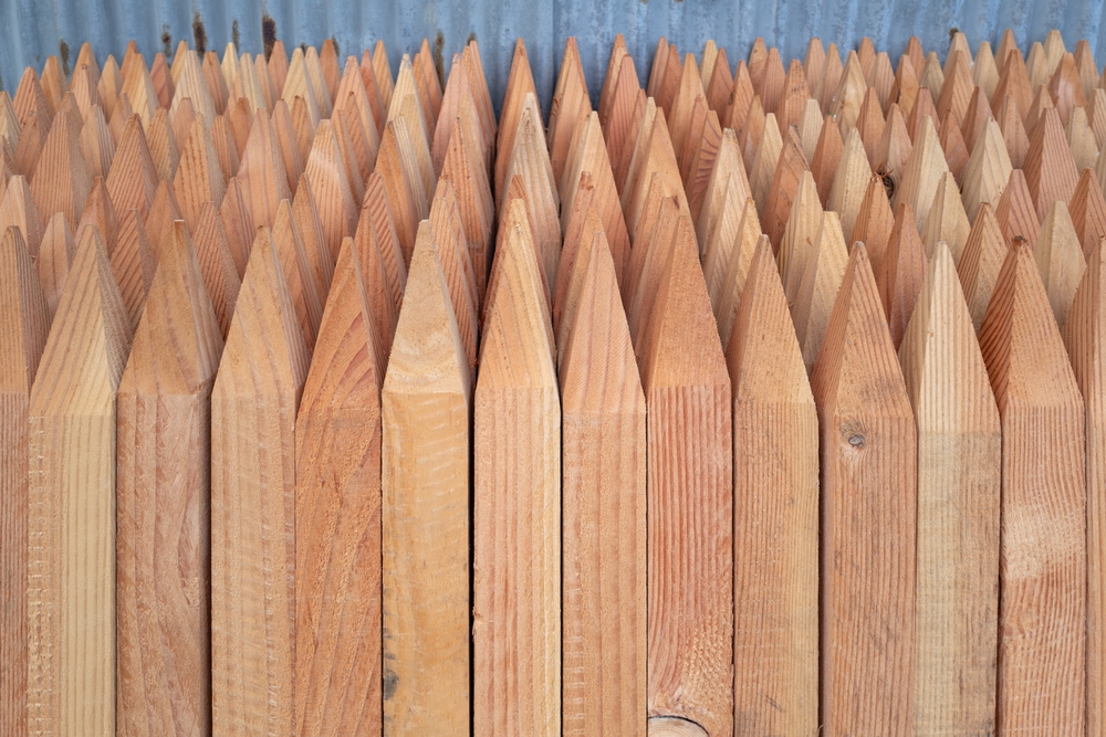 A close-up of Garden Stake Timber (25mmx25mmx1500mm) with pointed tops, stacked vertically before a corrugated metal wall—ideal for garden use.