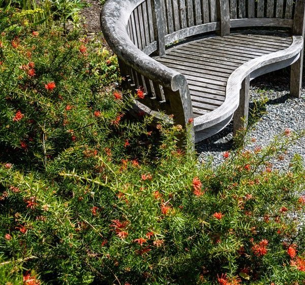 A curved wooden bench sits on gravel beside green bushes of Grevillea 'Red Wings' 6" Pot, dotted with small red-orange flowers.