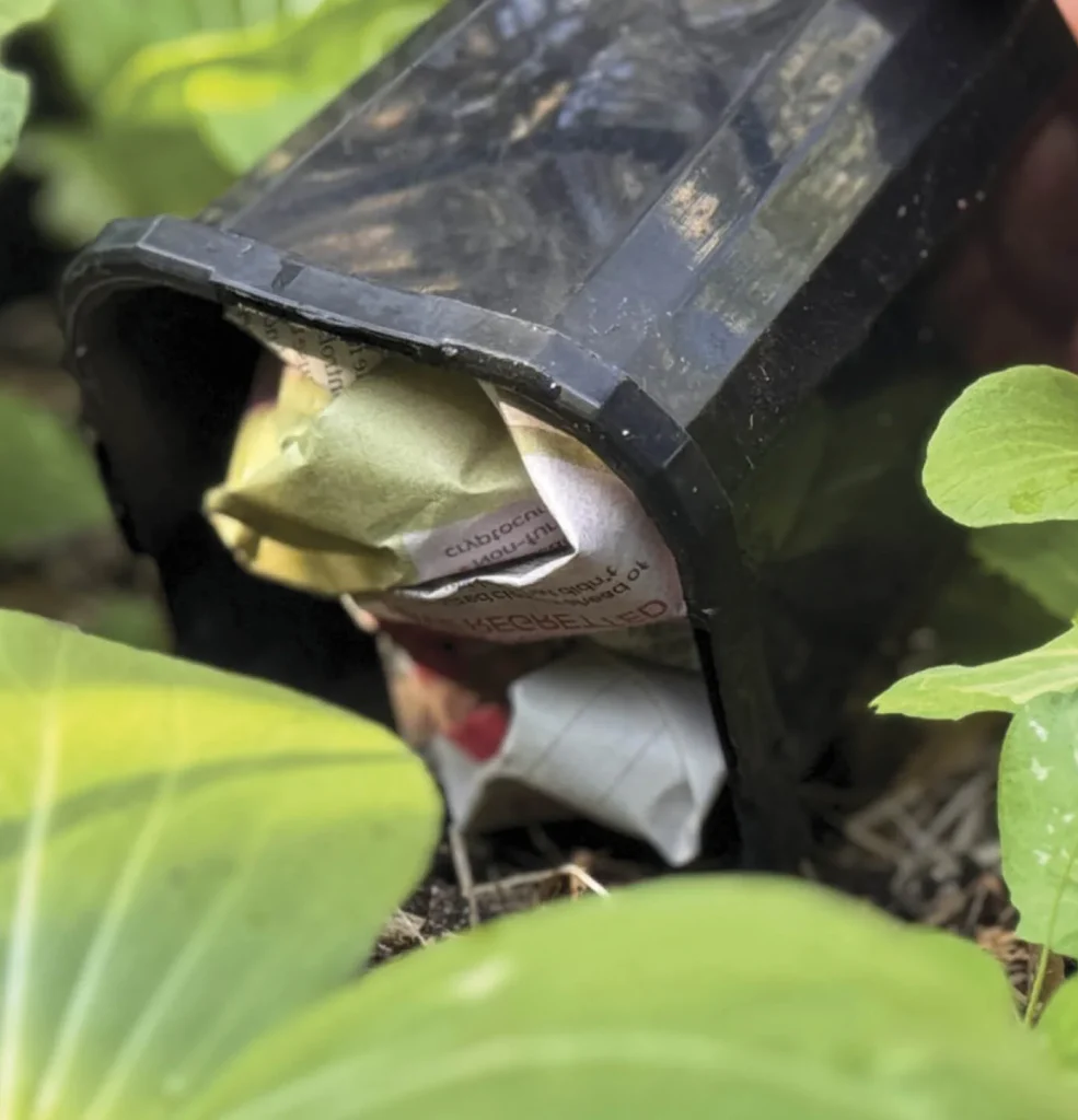 A hand places a black plastic container filled with crumpled paper among leafy green plants in a garden, showcasing one of the Best Garden Hacks for nurturing healthy soil.