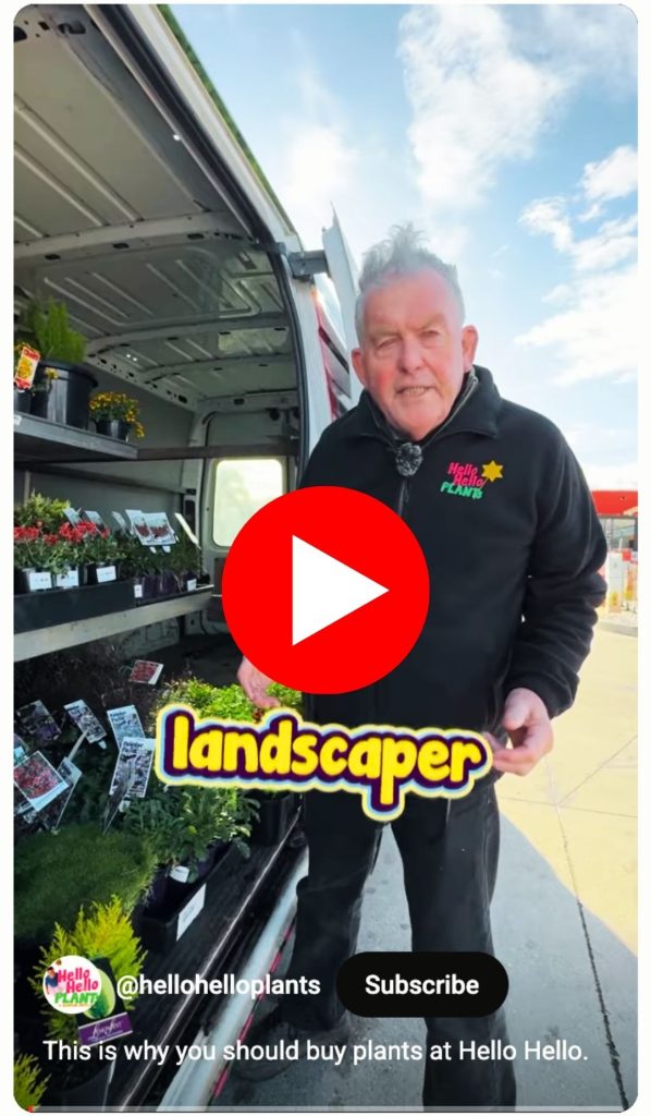 A man stands beside an open van displaying potted plants, wearing a black "Hello Hello Plants" hoodie. Text reads "landscaper—Get the Right Plants for your next project.