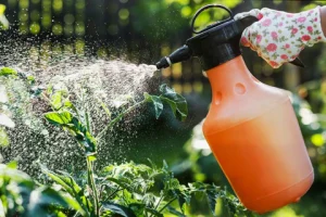 A gloved hand sprays water or liquid from an orange spray bottle onto green plants in a garden, showcasing simple garden hacks for healthier growth.