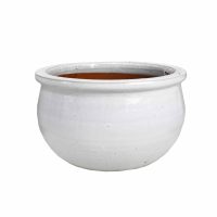 A round, moss green Glazed Flat-Rim Bowl (20x12cm) with a wide opening and slightly flared rim, set against a plain white background.