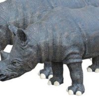 Two rhinoceroses standing side by side, facing left, with visible textured skin and prominent horns.