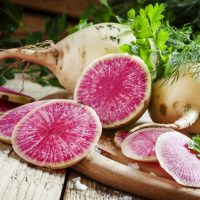 Radish 'Watermelon' 4" Pot