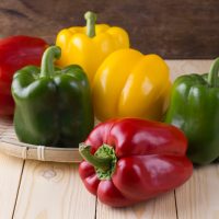Capsicum 'Traffic Lights' 4" Pot