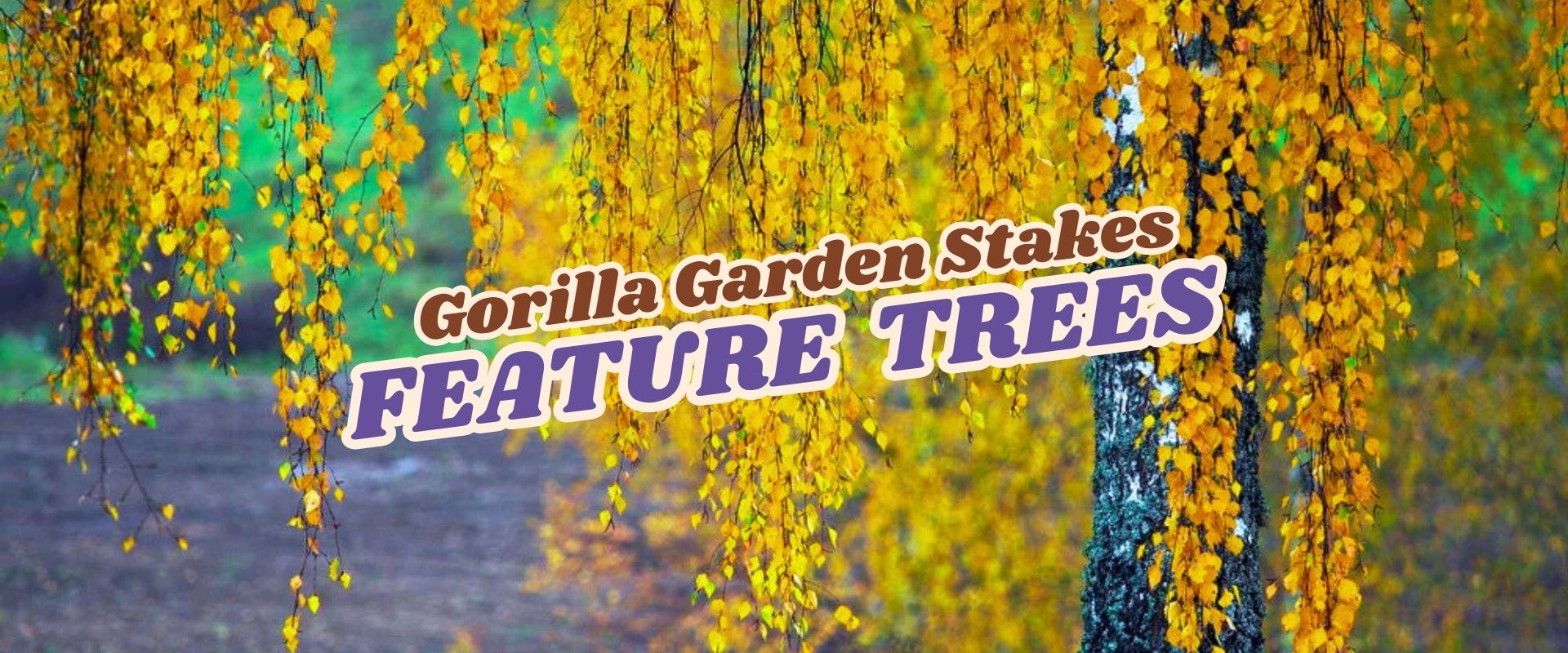 A tree with yellow autumn leaves and the text "Gorilla Garden Stakes FEATURE TREES - Flash Sale" overlaid in bold letters.