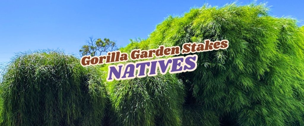 Lush green native plants with the text "Gorilla Garden Stakes NATIVES" and "Flash Sale" overlaid in bold letters against a clear blue sky.