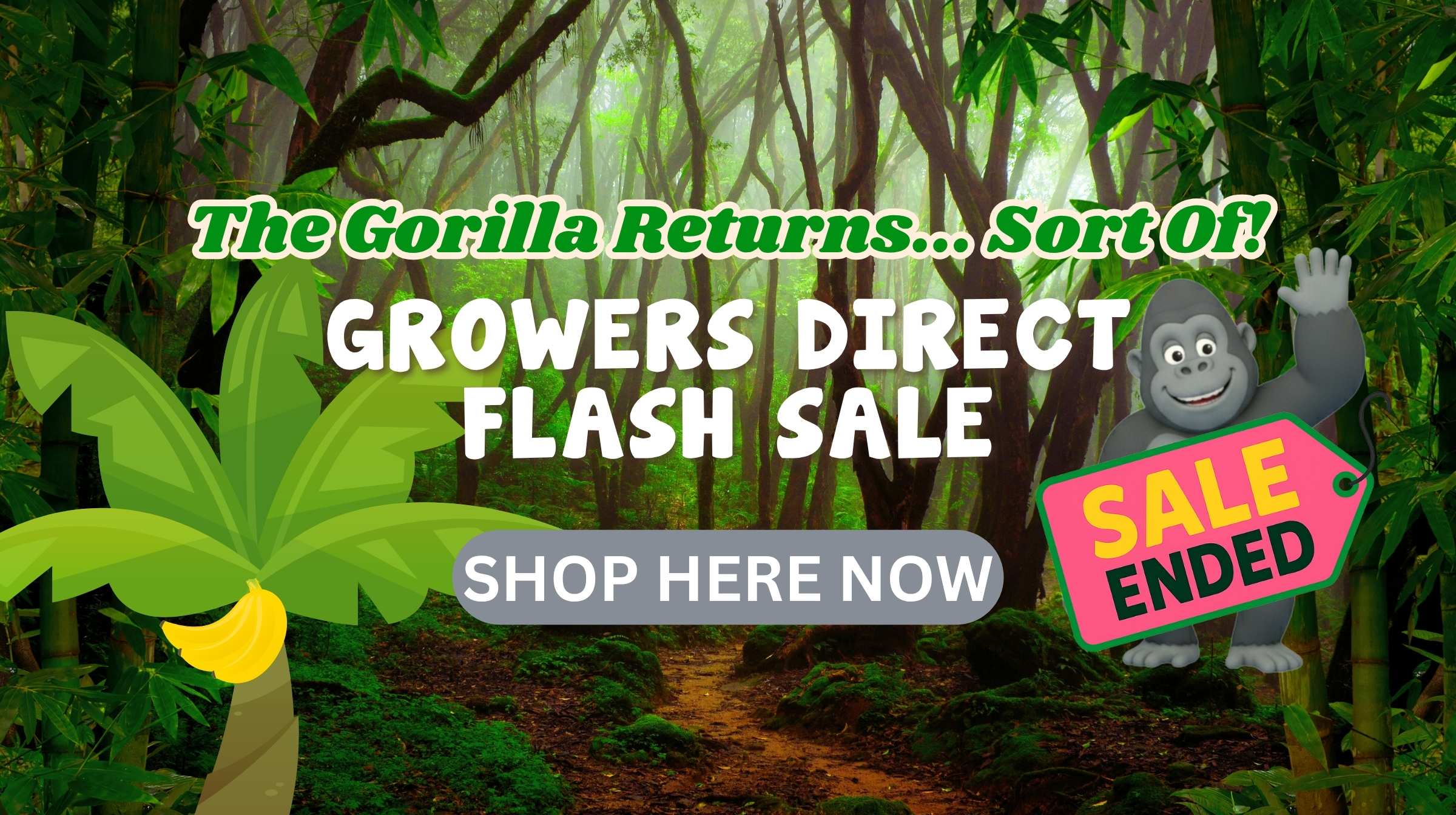 A jungle scene promotes a Flash Sale, with a cartoon gorilla holding a "Sale Ended" sign beside a banana plant; the "Shop Here Now" button invites you to explore more deals.