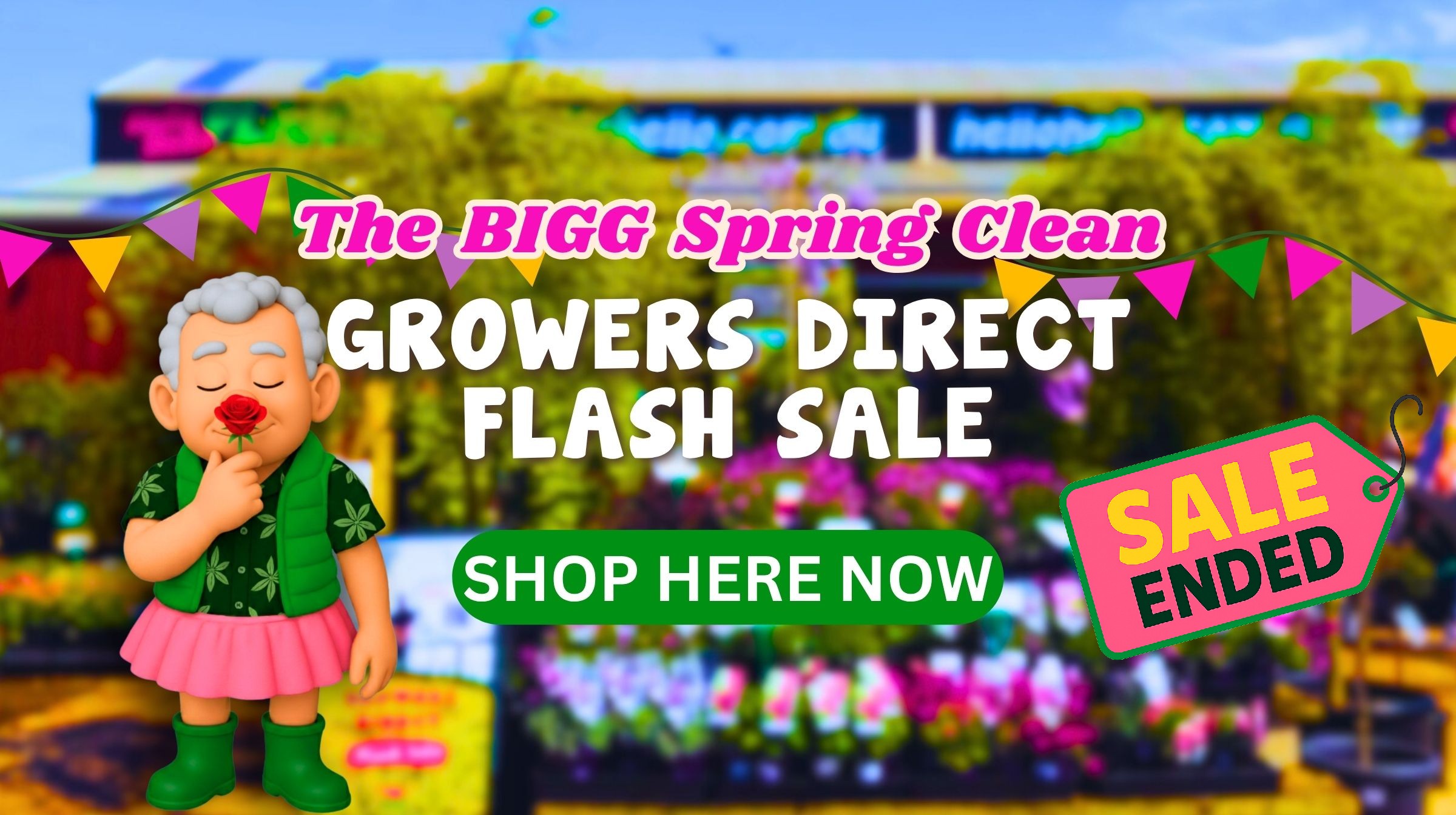 A promotional banner for a Spring Plant Sale at a garden centre reads “Growers Direct Flash Sale,” featuring a cartoon elderly figure and a "Sale Ended" tag.