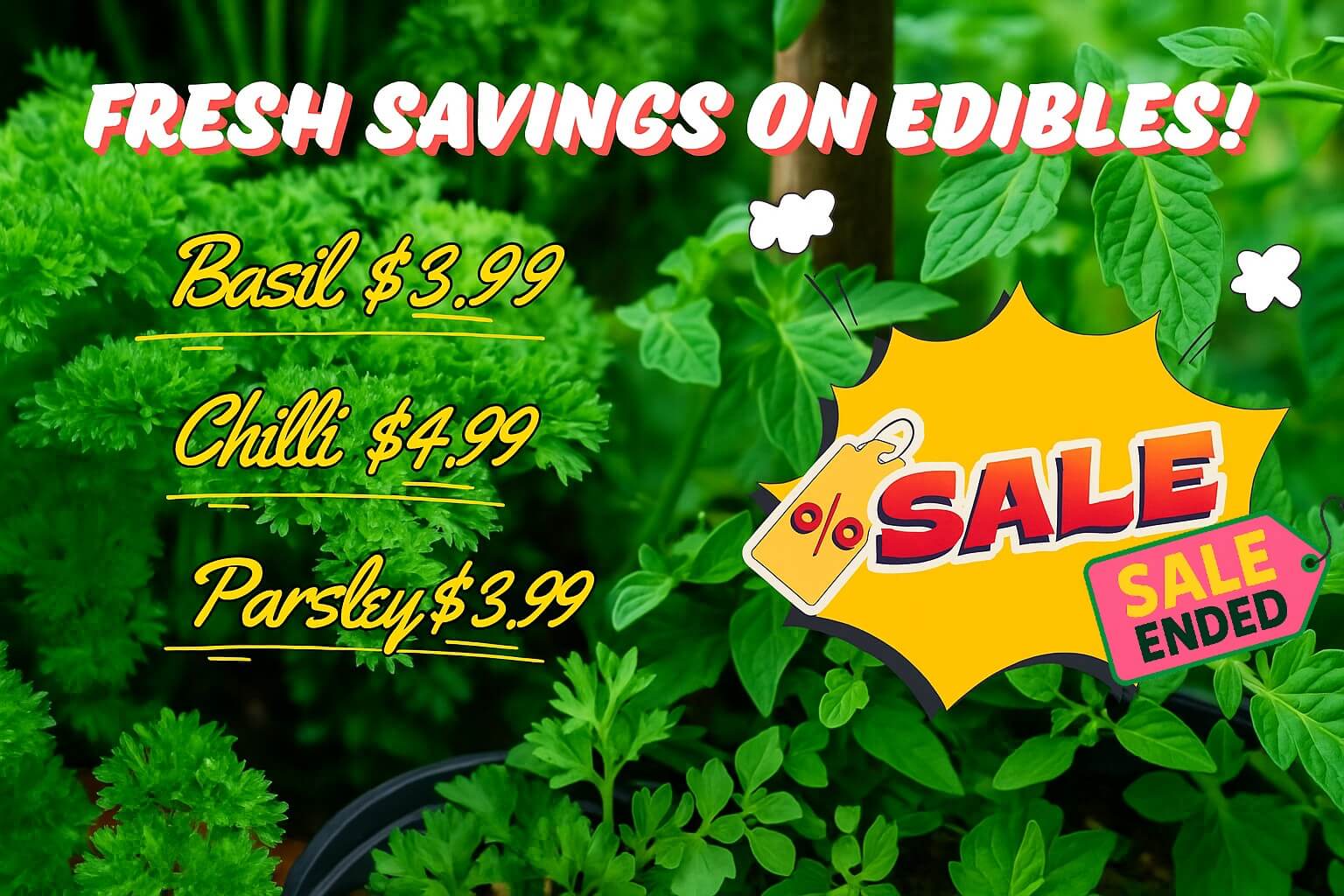 Text overlay on green edible plants reads: "Fresh savings on edibles! Tomato & Herb Specials: Basil £3.99, Chilli £4.99, Parsley £3.99." A sale sign states "SALE ENDED.