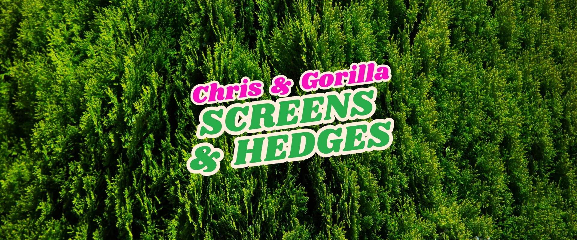 Logo reading "Chris & Gorilla Screens & Hedges" in bold text over a background of dense green hedges, featuring a Flash Sale banner for limited-time offers.