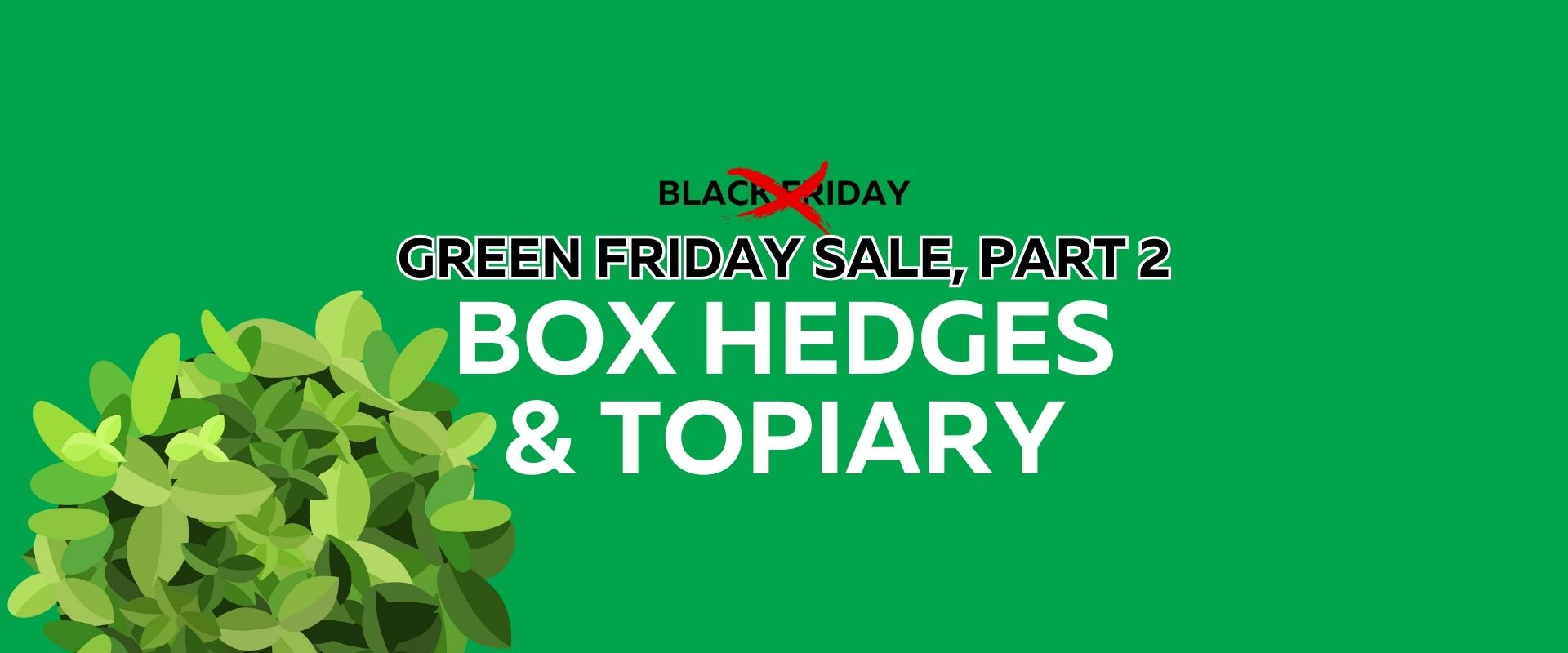 Green Friday Sale, Part 2: Box Hedges & Topiary. The green background features "Green Friday Sale" text and an illustration of lush box hedge leaves on the left.