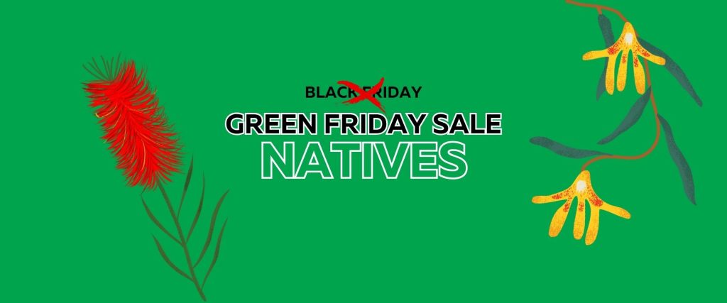 Green background with “Black Friday” crossed out and replaced by “Green Friday Flash Sale Natives”; illustrated native flowers on both sides.