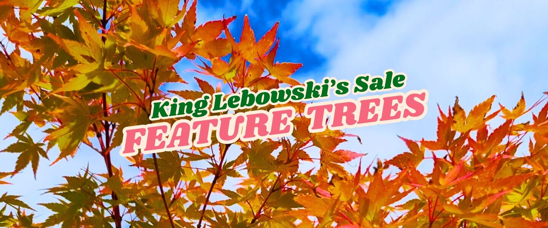 Colourful autumn leaves on tree branches with a blue sky background. Text over image reads "King Lebowski's Flash Sale FEATURE TREES" in green and pink letters.