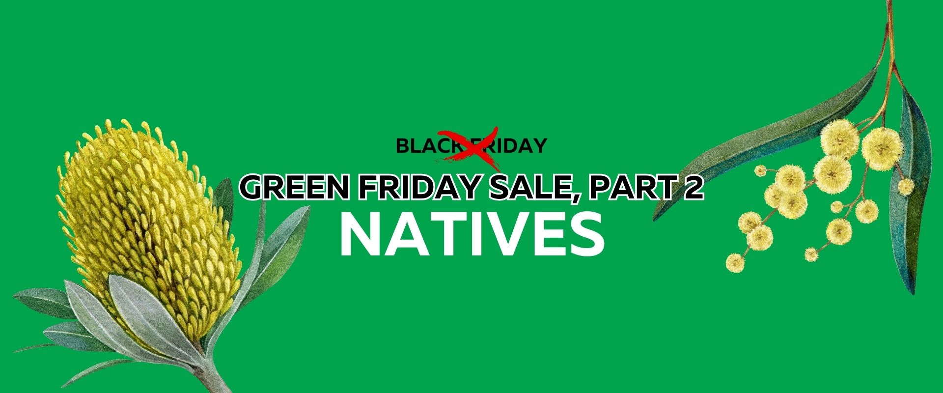 Green background with native Australian plant illustrations; text reads "Black Friday" crossed out, replaced by "Green Friday Sale, Part 2: Natives." Celebrate sustainability with our exclusive Green Friday Sale.