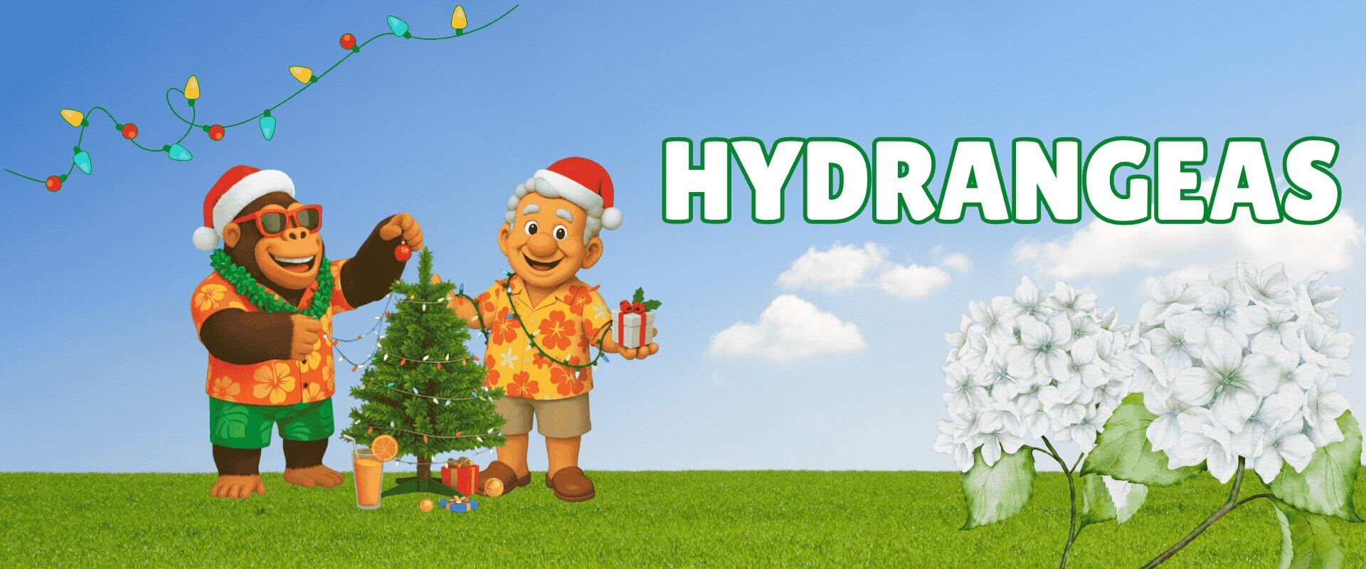 Two cartoon characters in Hawaiian shirts and Santa hats decorate a small Christmas tree on grass, surrounded by white hydrangea flowers. "HYDRANGEAS" and "Festive Garden Ready Flash Sale" appear in bold letters on the right.