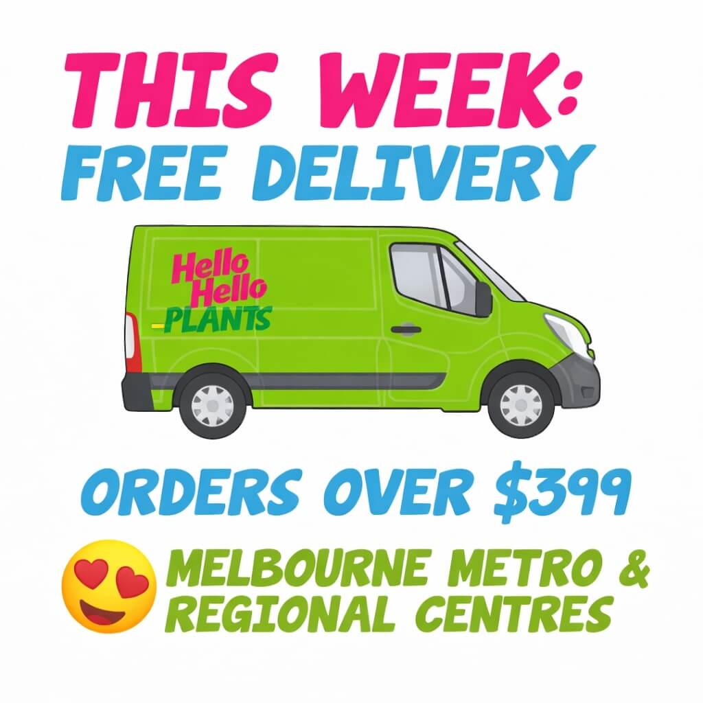 Green delivery van with "Hello Hello Plants" logo and "This week: Free delivery on orders over £399" for Melbourne metro and regional centres—perfect timing to shop our Holiday Plant Sale!.