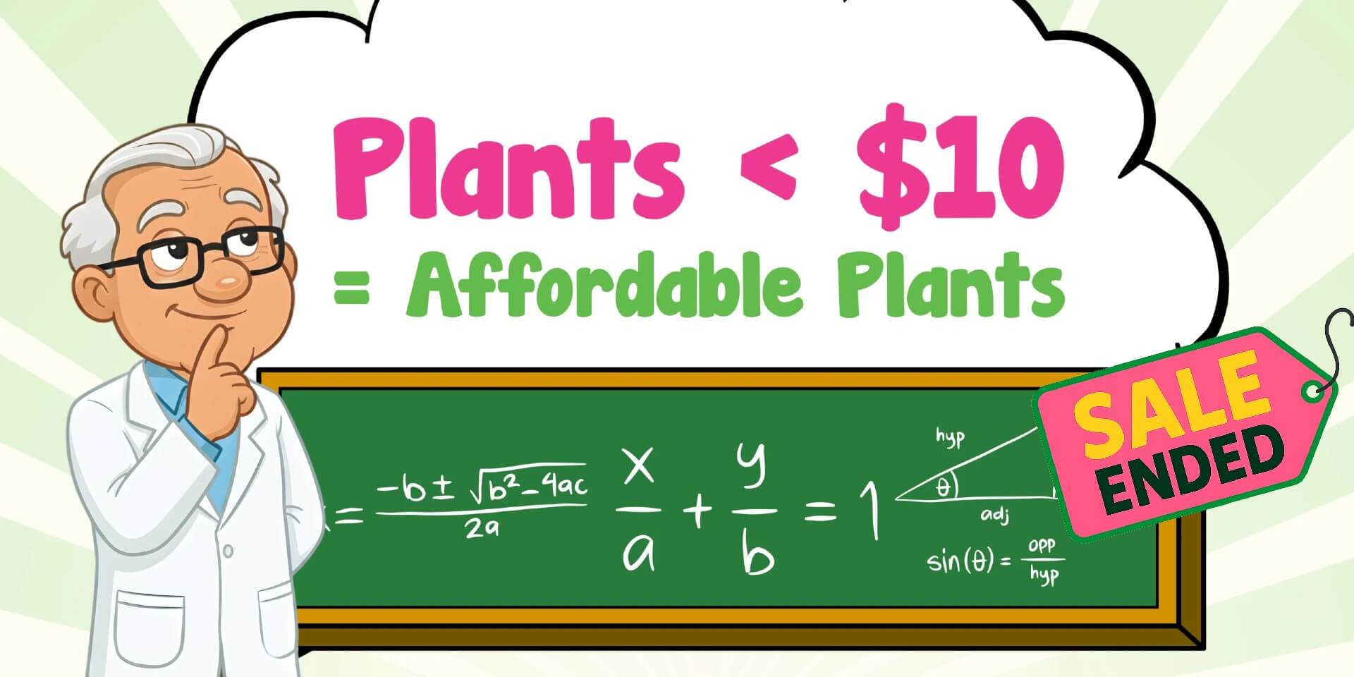 Cartoon scientist stands by a chalkboard with maths equations. Text above reads “Plants < £10 = Affordable Plants.” A red label says “Sale Ended.” Celebrate smart shopping at the Bargain Plant Sale.