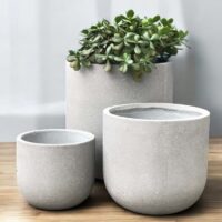 Three minimalist grey concrete planters sit on a wooden surface; the largest contains a green succulent, while the other two planters are empty.