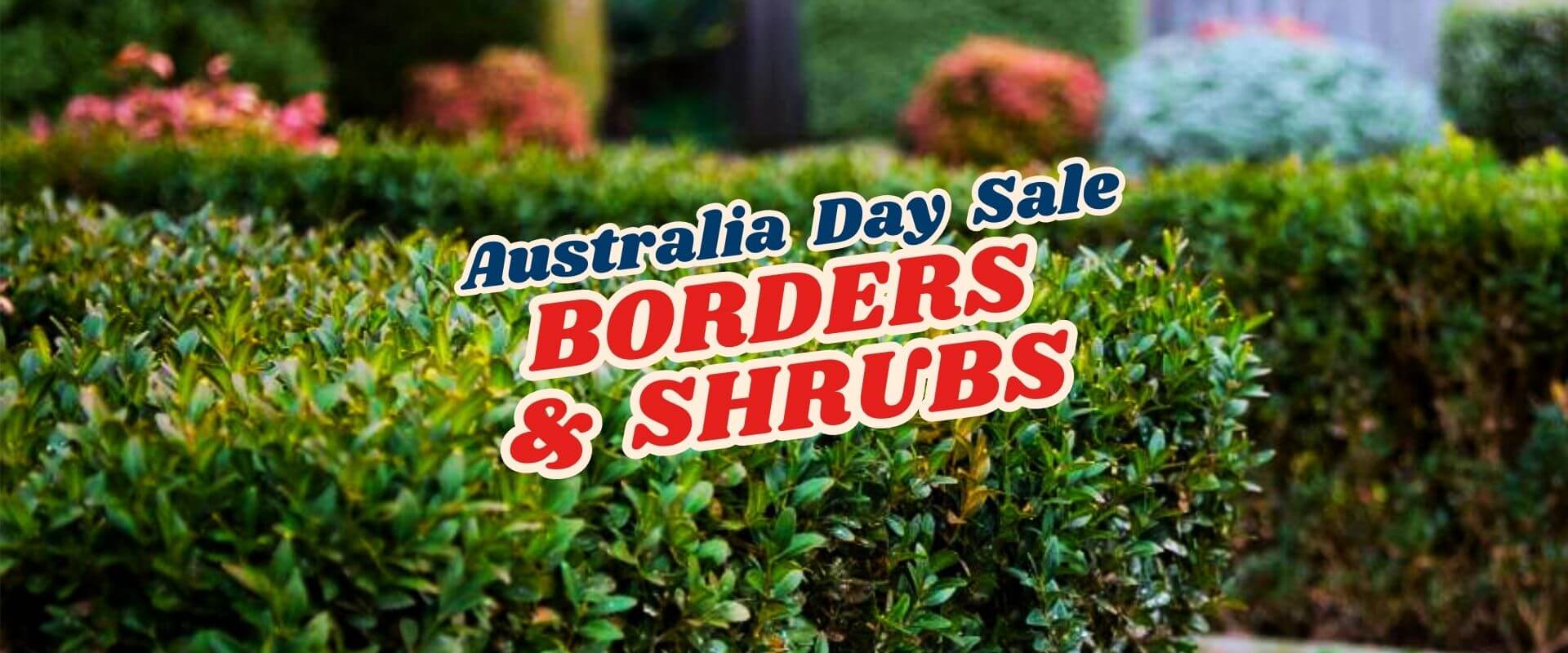 Close-up of neatly trimmed green hedges with overlaid text reading "Australia Day Sale BORDERS & SHRUBS – Green Friday Sale Part 2.