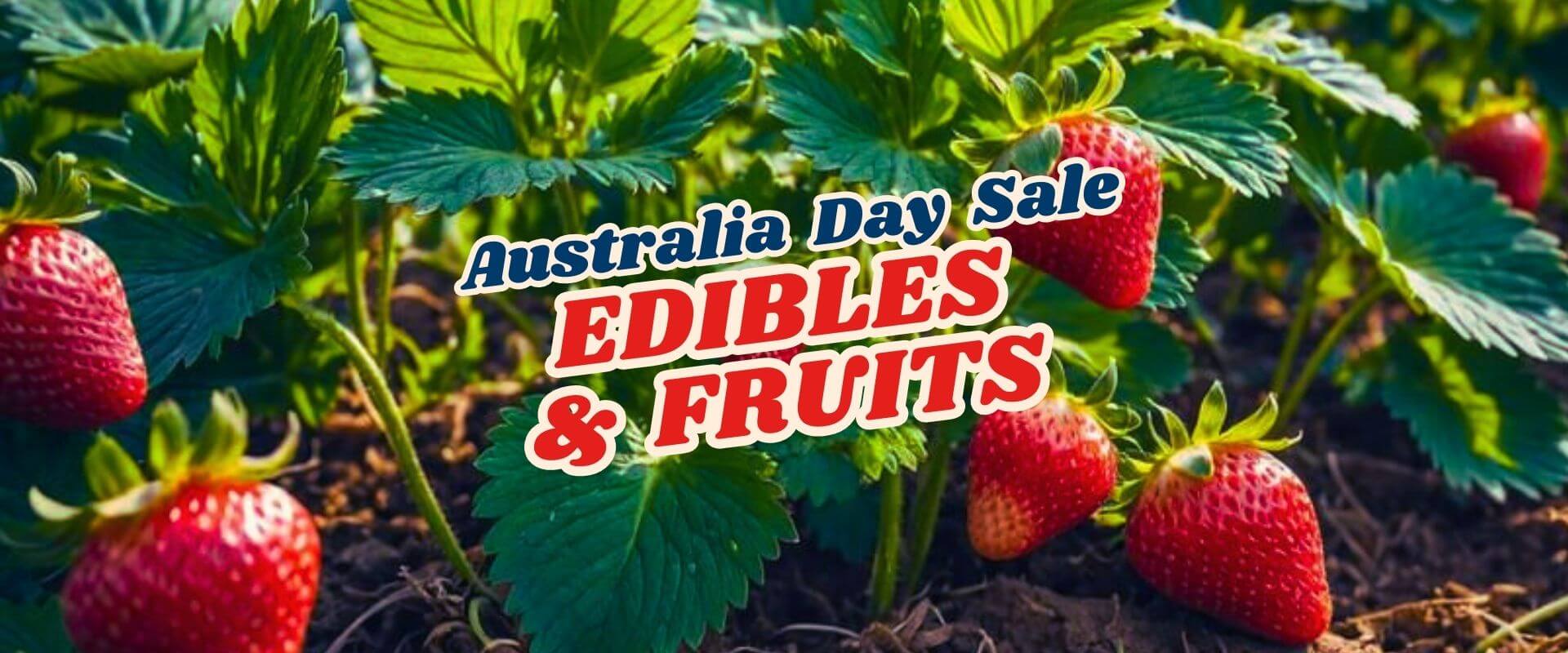 Close-up of ripe strawberries growing in soil with the text "Green Friday Sale Part 2 - Australia Day Sale Edibles & Fruit" overlaid on the image.