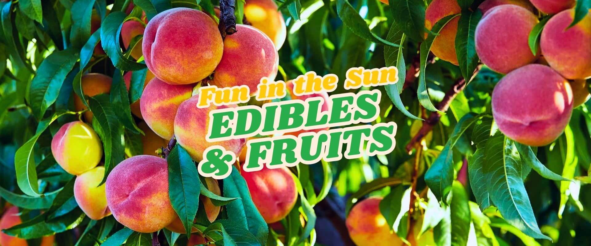 Ripe peaches hanging on tree branches with green leaves; text overlay reads "FUN IN THE SUN Flash Sale – Edibles & Fruit.